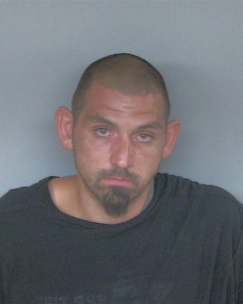 Inmate photo for CRAIG ROBERT BLEVINS